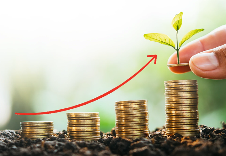 Roshan Equity Investment Account